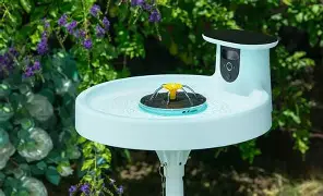 Spec Battle: Birdfy Bird Bath Pro vs Gopro Lit Hero — Is It Worth Upgrading?